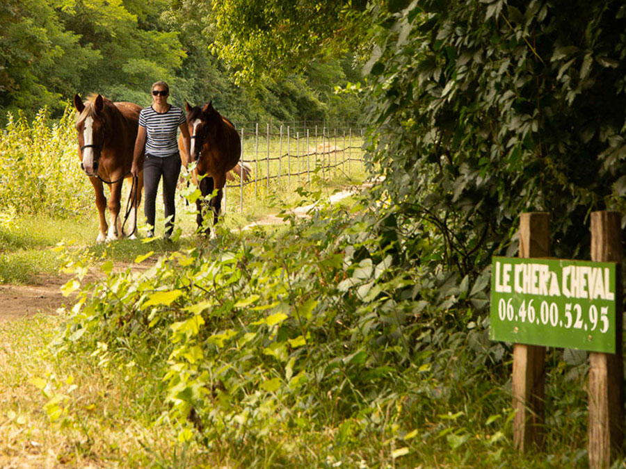 le cher à cheval